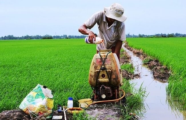 Thuốc bảo vệ thực vật gây ô nhiễm nguồn nước mặt cũng như nước ngầm