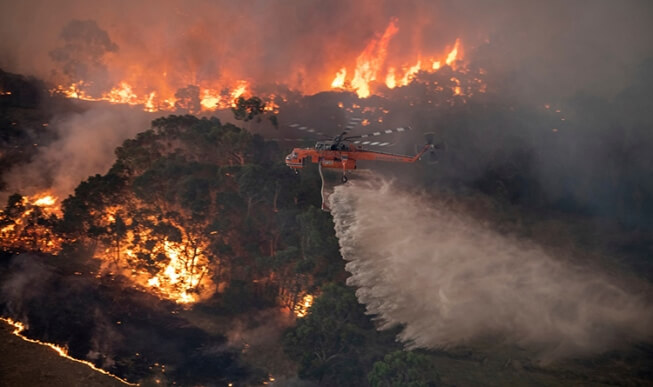 Thảm kịch cháy rừng ở Aaustralia năm 2019