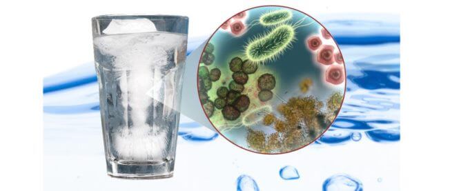 Vibrio Chlolerae là một loại khuẩn tồn tại chủ yếu trong nước thải sinh hoạt