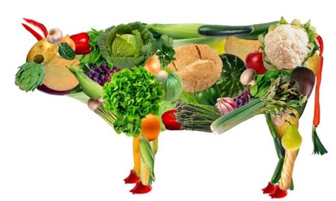 Ăn chay là loại bỏ hoàn toàn các thực phẩm có nguồn gốc từ động vật