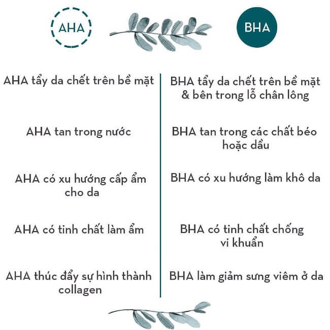 Cơ chế hoạt động của AHA và BHA 