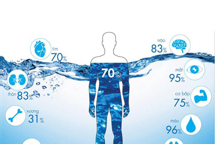 Nước đóng vai trò quan trọng đối với sức khỏe