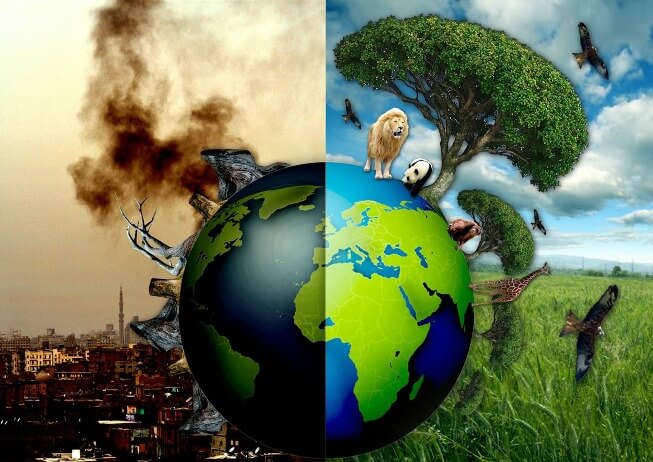 Ô nhiễm môi trường là sự biến đổi của các thành phần trong môi trường