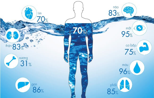 Nước chiếm tỷ lệ lớn của cơ thể