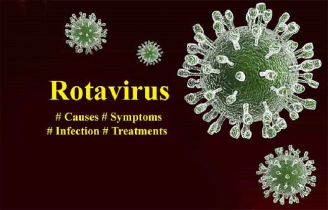 Triệu chứng, cách điều trị và phòng bệnh tiêu chay do virus Rota
