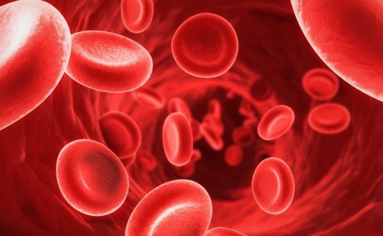 Nguyên nhân, triệu chứng và chế độ dinh dưỡng cho người thiếu máu