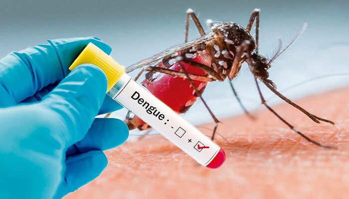 Bệnh sốt xuất huyết do vi rút Dengue gây ra