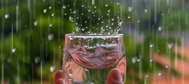 Dùng nước mưa để ăn uống có thực sự tốt?