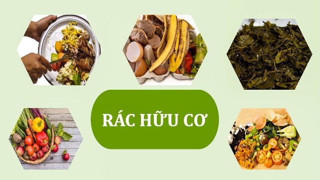 Rác hữu cơ: Cách phân loại và xử lý rác thải hữu cơ