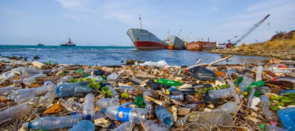 Ô nhiễm môi trường biển: Thực trạng, nguyên nhân và các biện pháp
